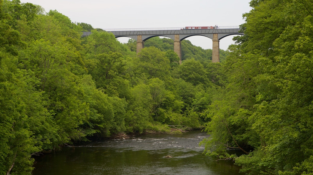 Pontcysyllte Aquaduct showing a bridge, forests and a river or creek