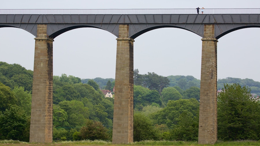 Pontcysyllte Aquaduct featuring a bridge