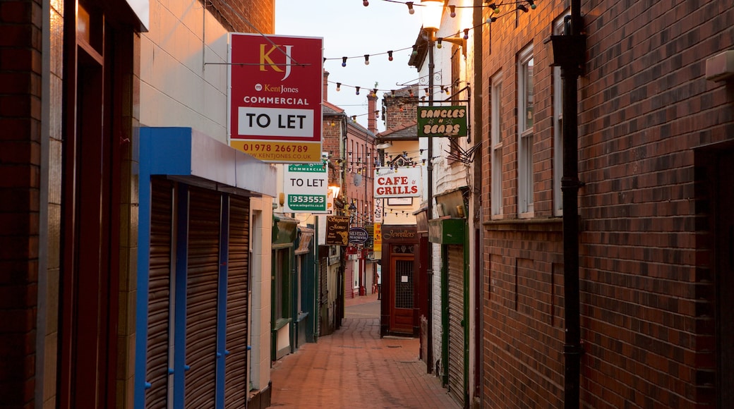 Wrexham featuring street scenes