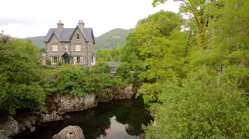 Betws-Y-Coed som viser skoglandskap, elv eller bekk og hus