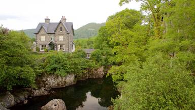 Betws-Y-Coed mostrando casa, fiume o ruscello e paesaggio forestale