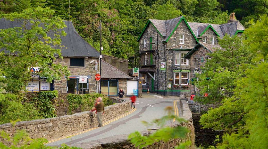 Betws-Y-Coed fasiliteter samt gatescener og skog