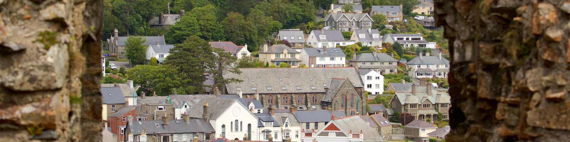 Criccieth Castle featuring a small town or village