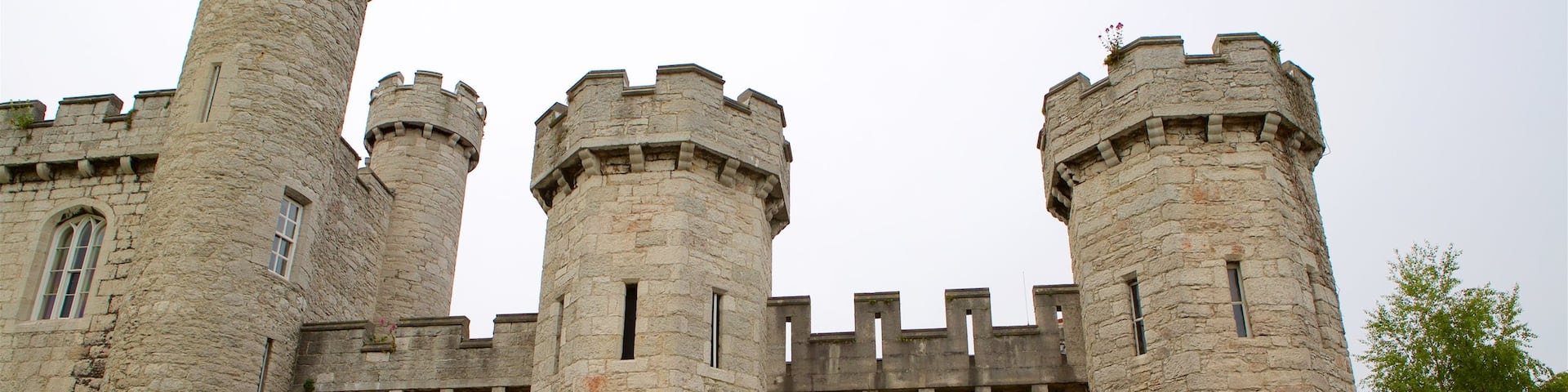 Bodelwyddan Castle showing heritage elements and a castle