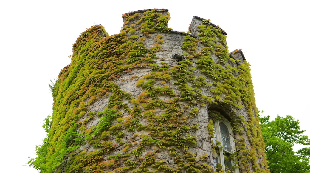 Bodelwyddan Castle toont historisch erfgoed en kasteel of paleis