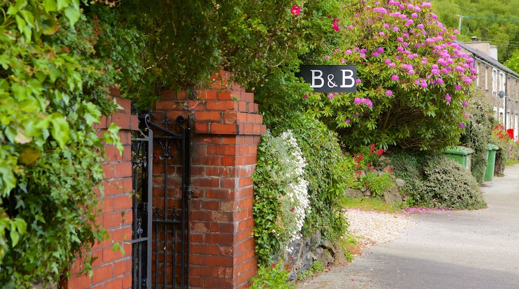 Betws Garmon showing street scenes