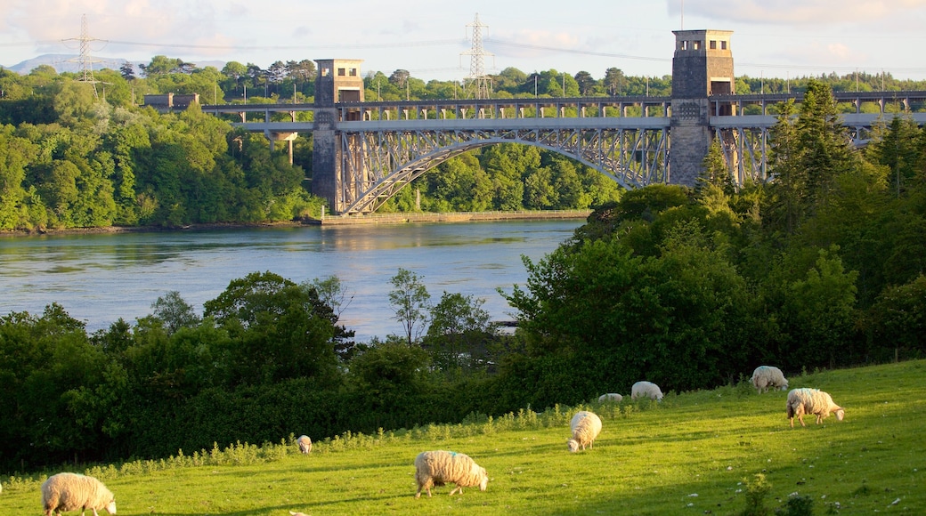 Menai Bridge which includes a river or creek, a bridge and farmland