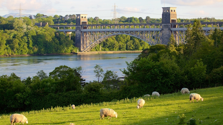 Menai Bridge caratteristiche di terreno coltivato, fiume o ruscello e ponte