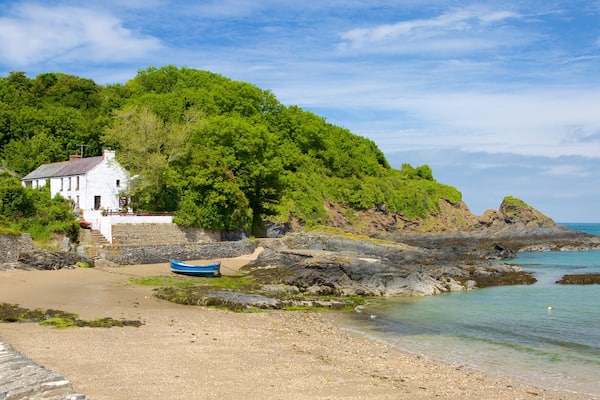 Pembrokeshire Coast National Park showing a beach, a pebble beach and a coastal town