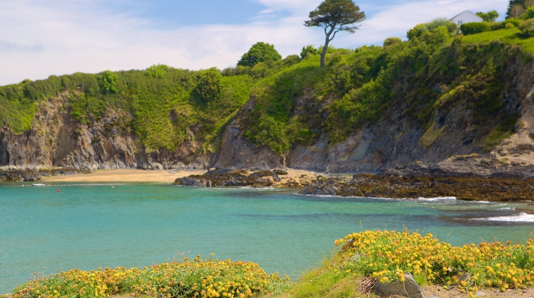 Pembrokeshire Coast National Park mit einem Felsküste und allgemeine Küstenansicht