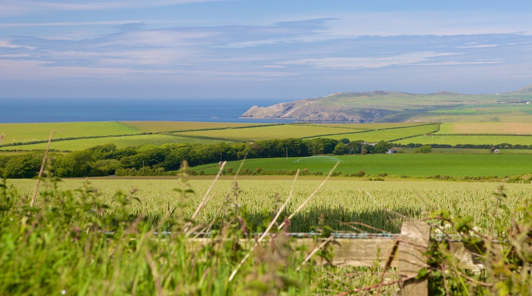 Pembrokeshire Coast Nationalpark som viser landbrugsområde