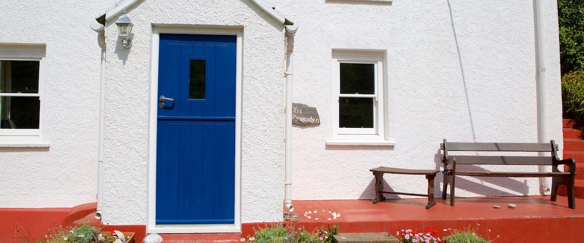 Pembrokeshire Coast National Park showing street scenes and a house