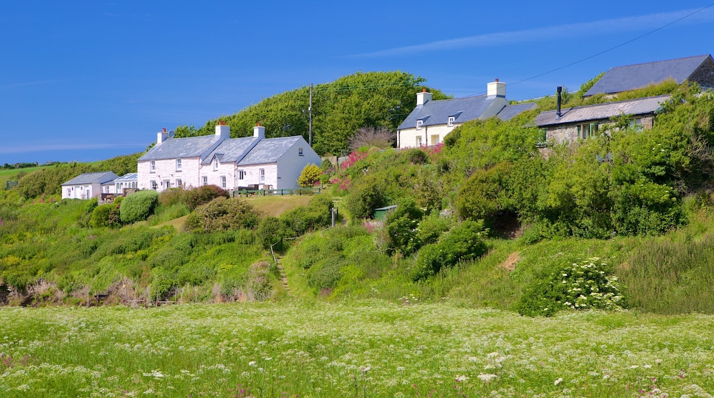 Pembrokeshire Coast nasjonalpark som inkluderer kystby og åkre