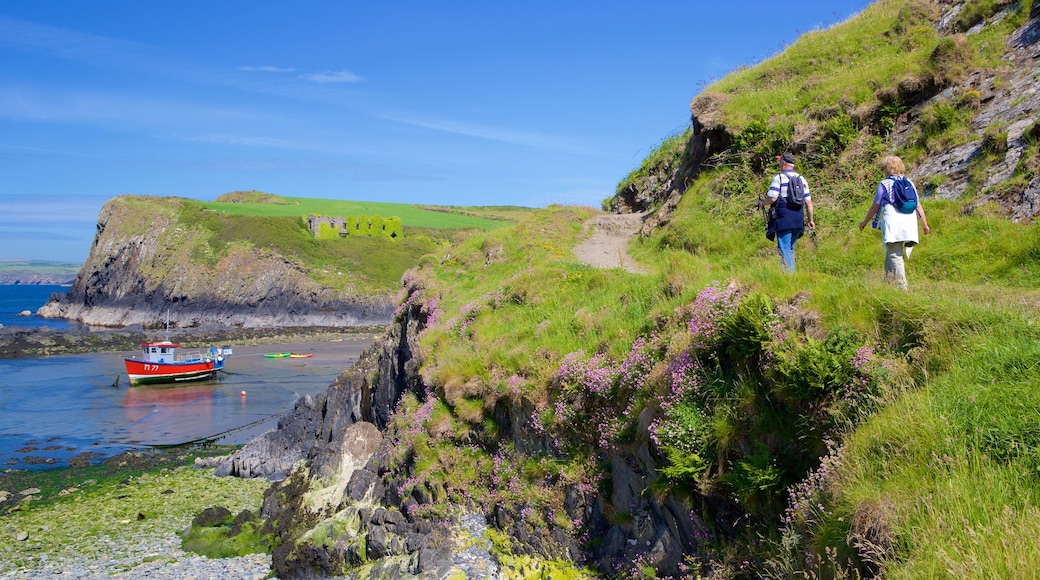 Parque Nacional Pembrokeshire Coast que incluye senderismo o caminata y vistas generales de la costa