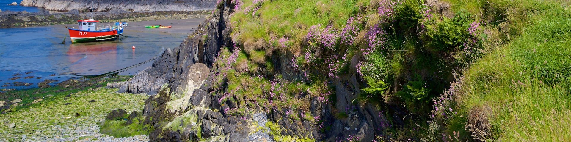 Pembrokeshire Coast National Park featuring hiking or walking and general coastal views