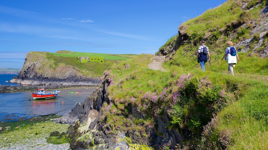 Parque Nacional Pembrokeshire Coast mostrando senderismo o caminatas y vistas de una costa