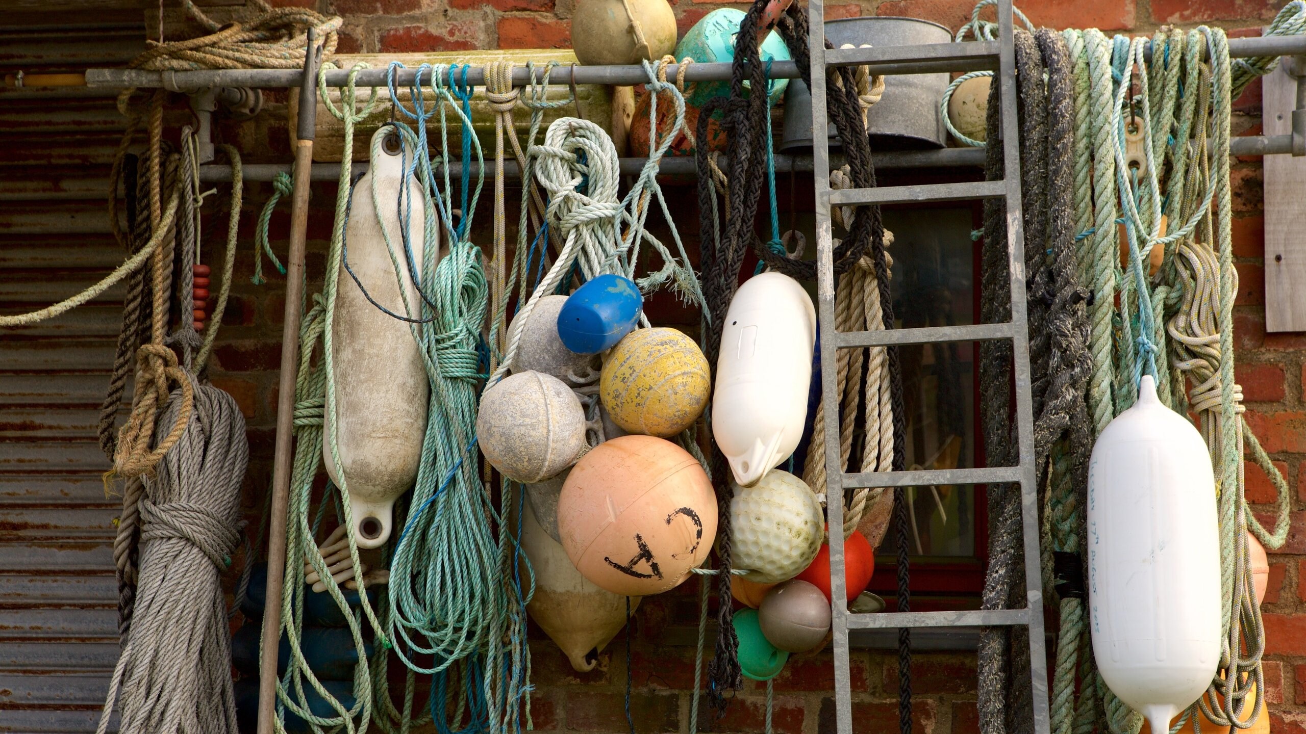 ペンブロークシャー コースト国立公園 (ウェールズ) ツアーとアクティビティ エクスペディア