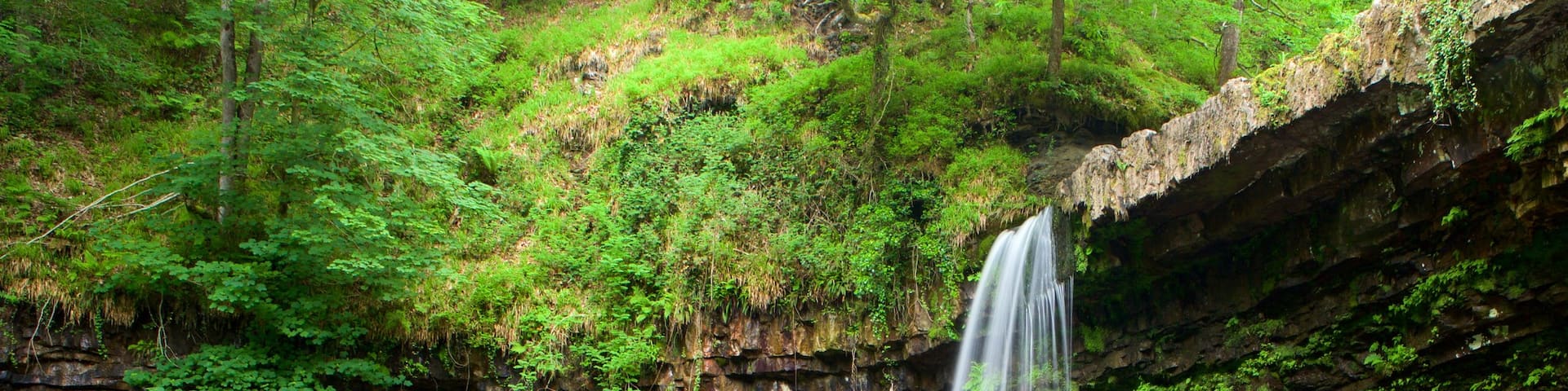 Brecon Beacons National Park which includes rainforest, a lake or waterhole and a waterfall