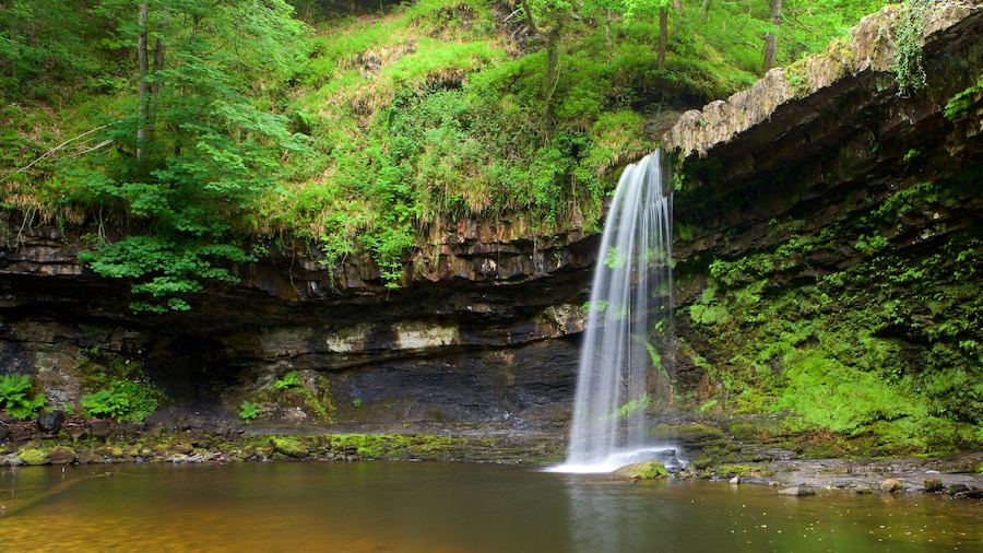 Parque Nacional Brecon Beacons que inclui floresta tropical, uma cachoeira e um lago ou charco