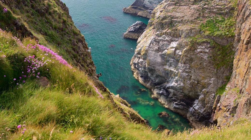 Isle of Anglesey featuring a gorge or canyon and rugged coastline