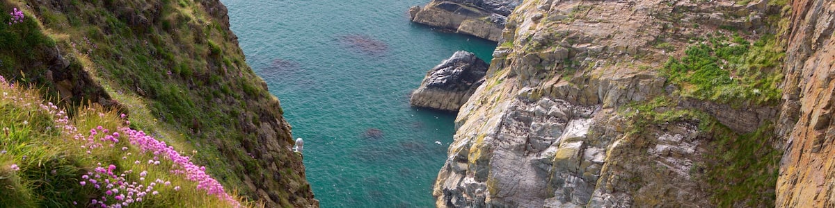 Isle of Anglesey mit einem Felsküste und Schlucht oder Canyon