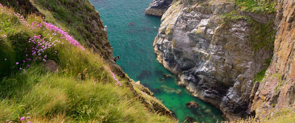 Anglesey mettant en vedette gorge ou canyon et côte escarpée