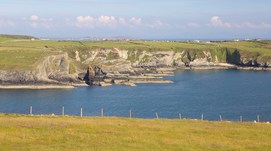 Isle of Anglesey das einen allgemeine Küstenansicht und Farmland