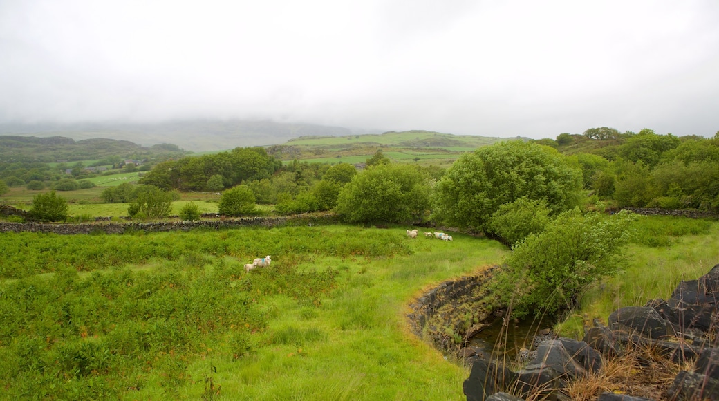 Snowdonia National Park mit einem Nebel und Farmland