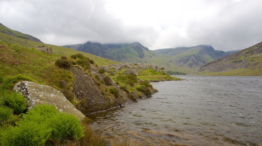 Snowdonia Nationalpark som viser en flod eller et vandløb, tåge eller dis og fredfyldte omgivelser