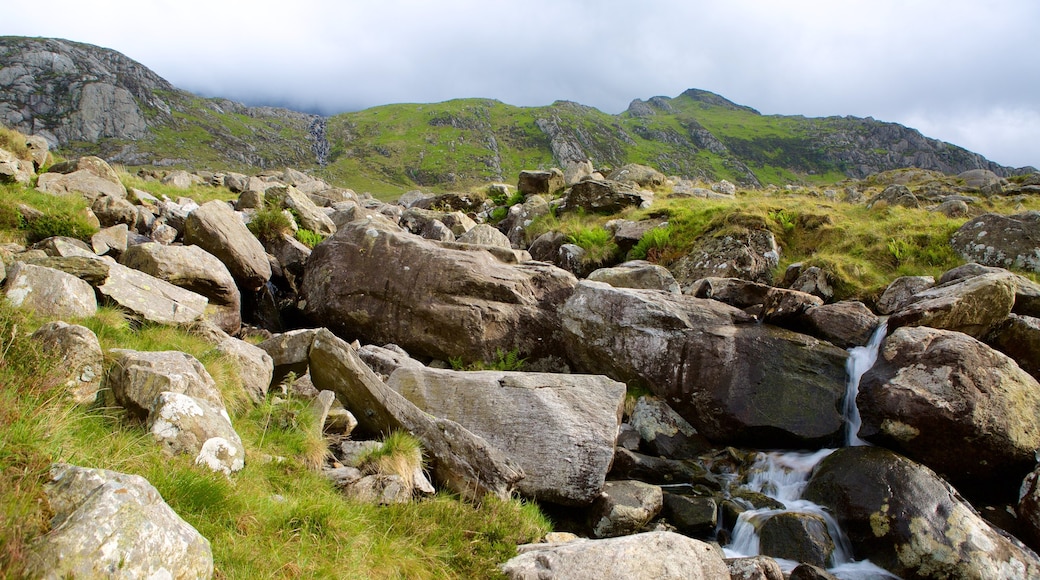 Snowdonia National Park showing tranquil scenes