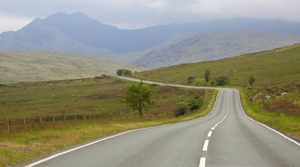 Snowdonia National Park showing farmland and mist or fog