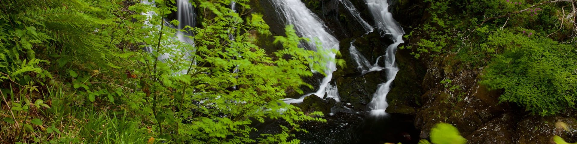 Swallow Falls which includes rainforest and a waterfall