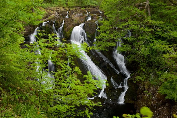 Swallow Falls das einen Wasserfall und Regenwald