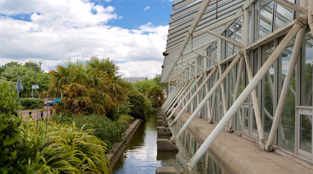 Plantasia which includes a park