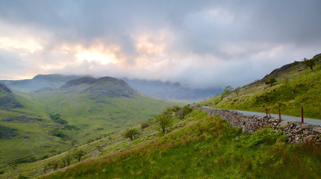 Mount Snowdon featuring farmland