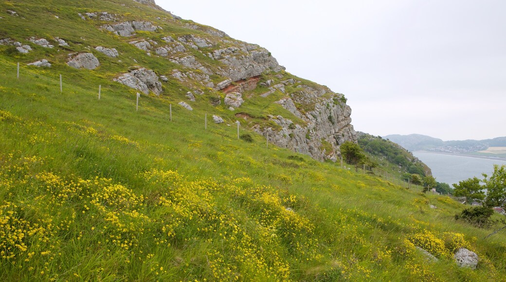 Great Orme showing farmland