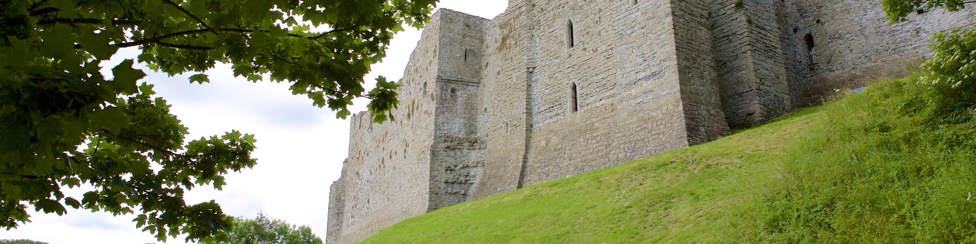 Oystermouth Castle which includes a castle