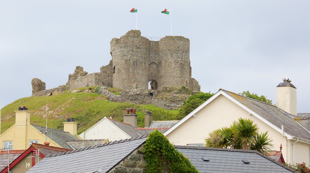 Criccieth Castle featuring a castle, a small town or village and heritage elements