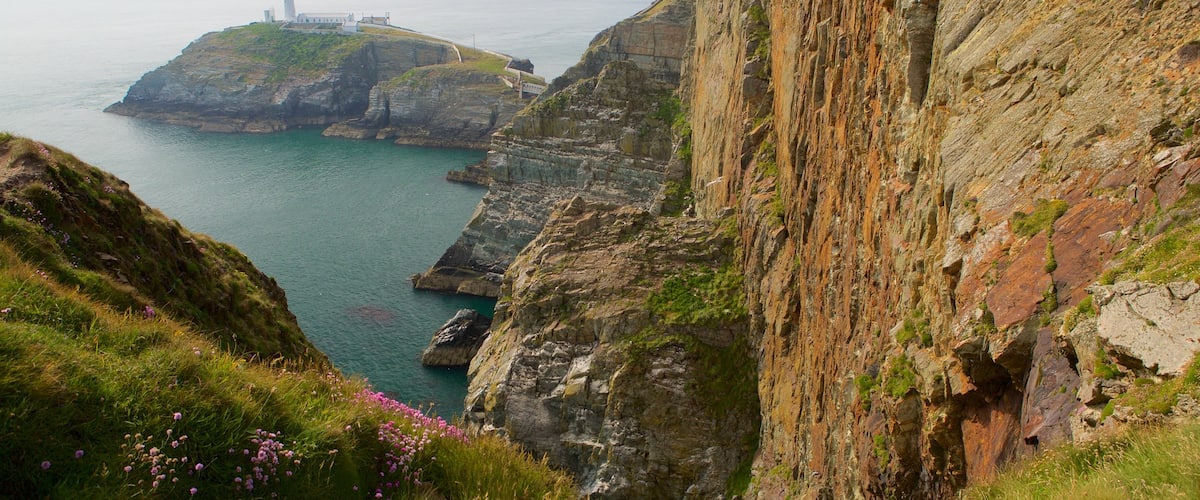South Stack Lighthouse que incluye costa escarpada, un barranco o cañón y vistas generales de la costa