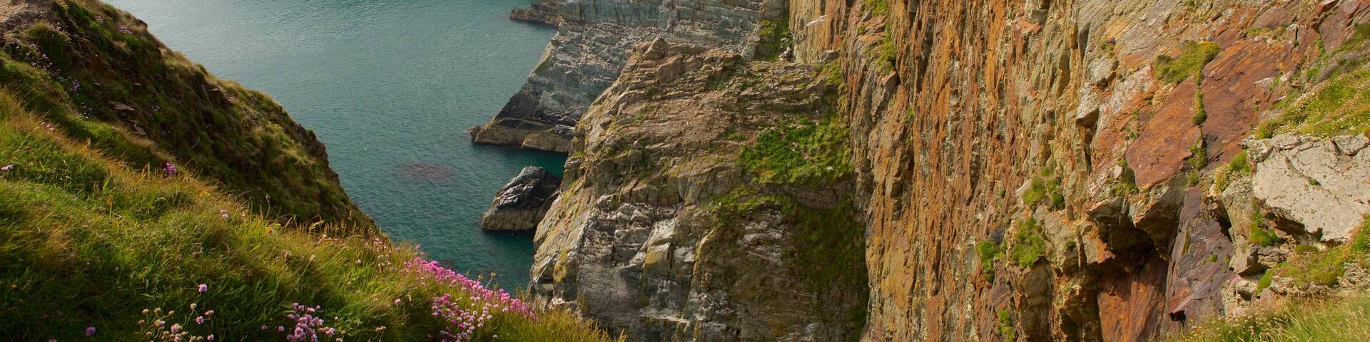 South Stack Lighthouse showing a gorge or canyon, general coastal views and rugged coastline
