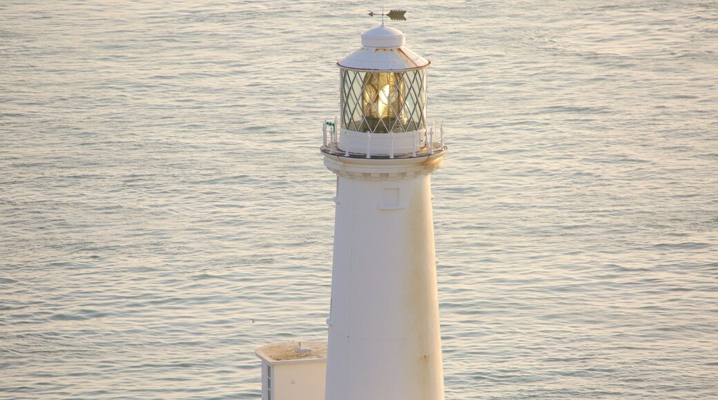 Vuurtoren van South Stack toont een vuurtoren en algemene kustgezichten