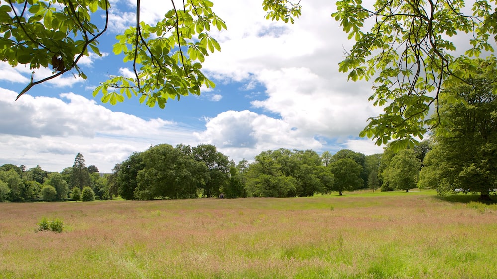 シングルトン パーク どの含み 公園