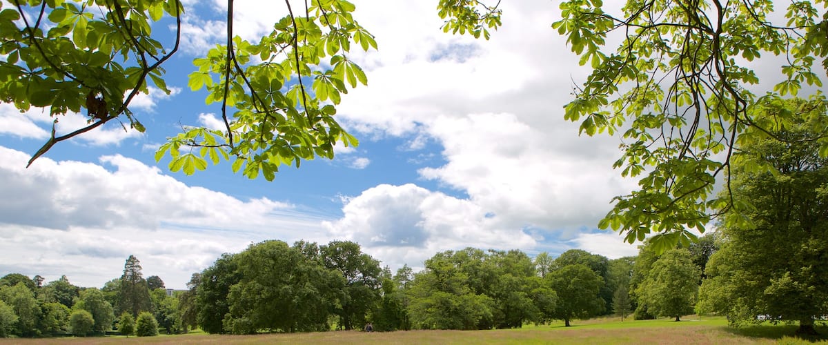 Singleton Park which includes a park
