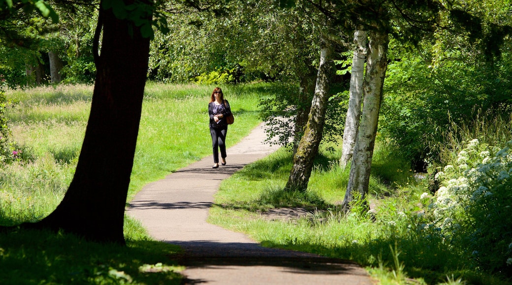 Singleton Park showing a park and hiking or walking as well as an individual femail