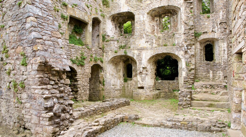 Oxwich Castle che include oggetti d\'epoca, rovine e castello o palazzo