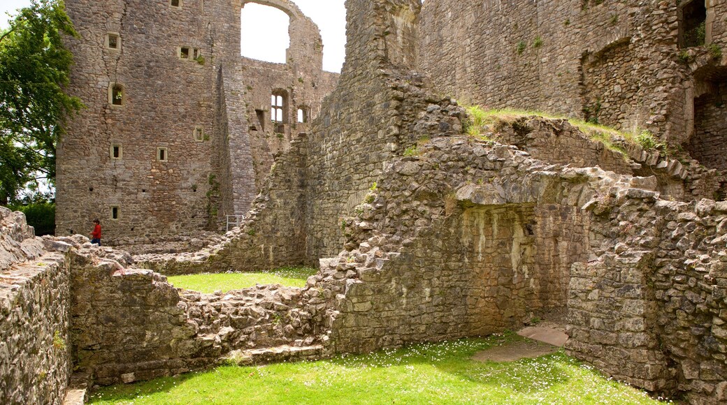 Oxwich Castle che include rovine di un edificio, castello o palazzo e oggetti d\'epoca