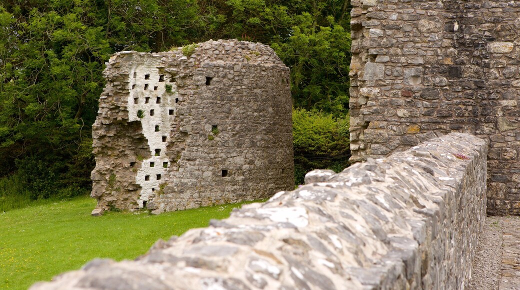 Castelo de Oxwich mostrando um castelo, uma ruína e elementos de patrimônio