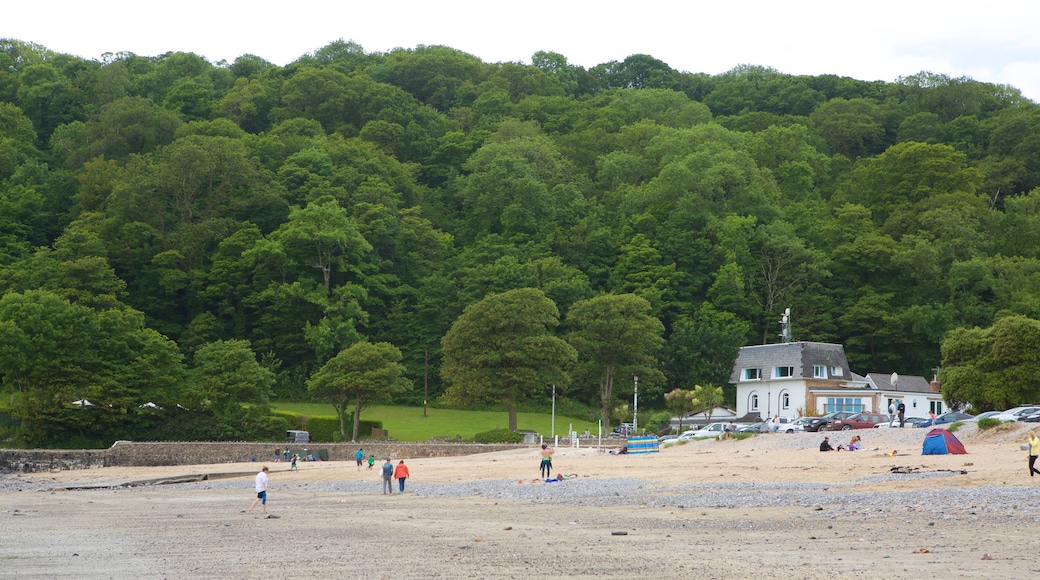 Oxwich Bay Beach showing a beach and forest scenes