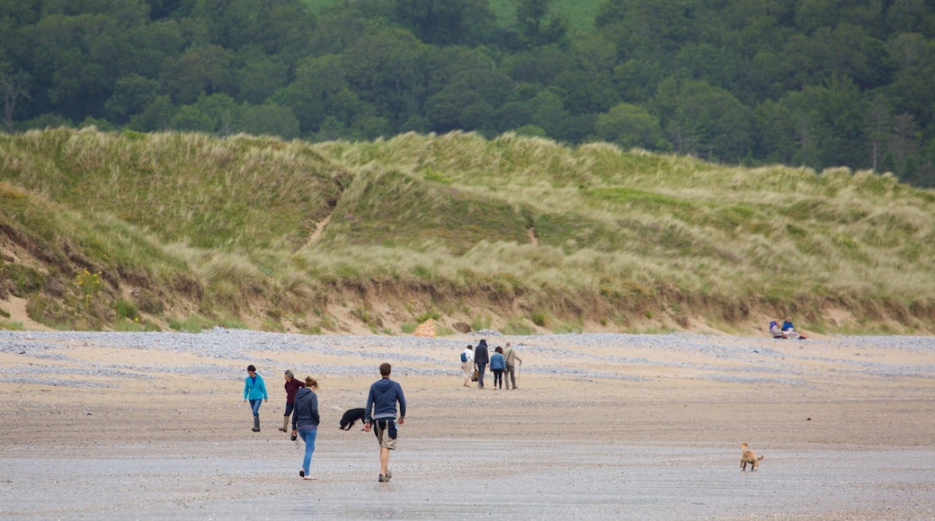 Oxwich Bay Beach featuring a beach as well as a small group of people