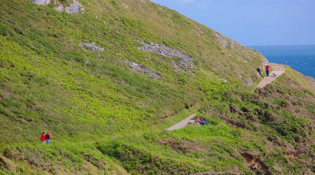 Praia de Caswell Bay mostrando escalada ou caminhada, montanhas e fazenda